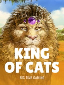 btg_king_of_cats