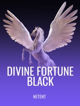 ntn_divine_fortune_black