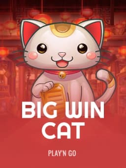 png_big_win_cat